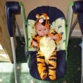 Maly tiger!